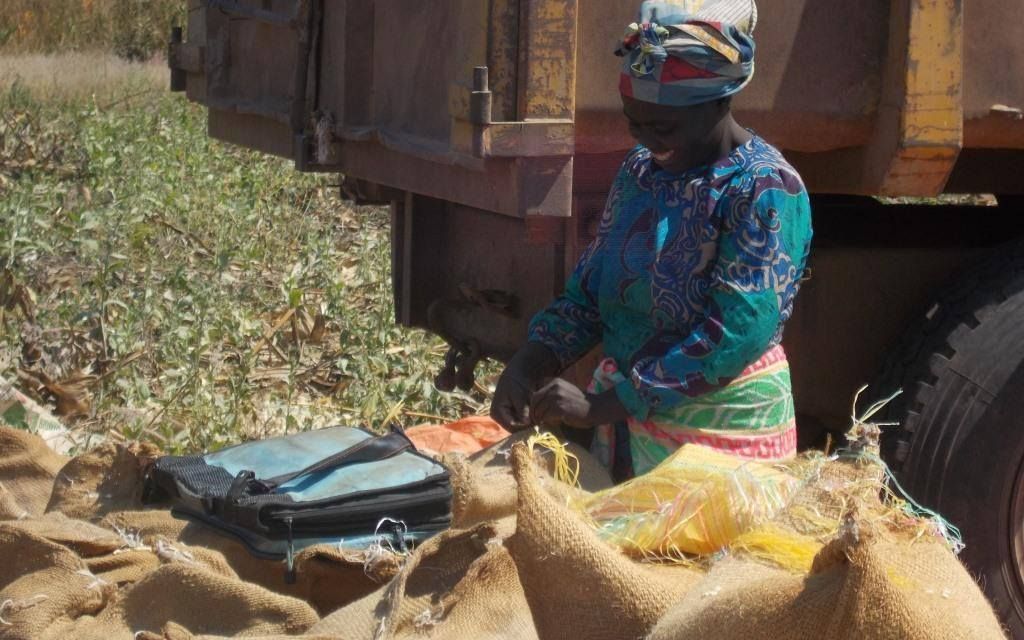 Scak Producteur De Cacao Caf Et Plantes M Dicinales En Rdc