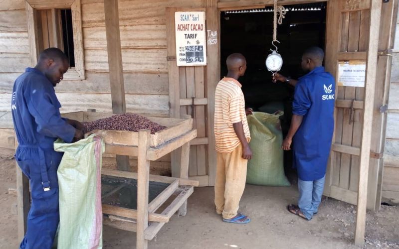 Association of Cocoa-Coffee Exporters (ASSECCAF)